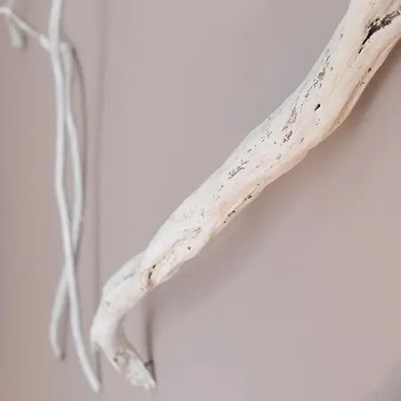 Alfama Bright Apartament